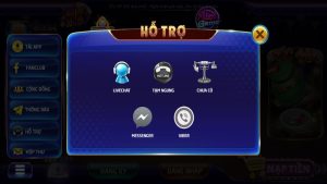 Liên hệ với đội ngũ CSKH của cổng game khi cần
